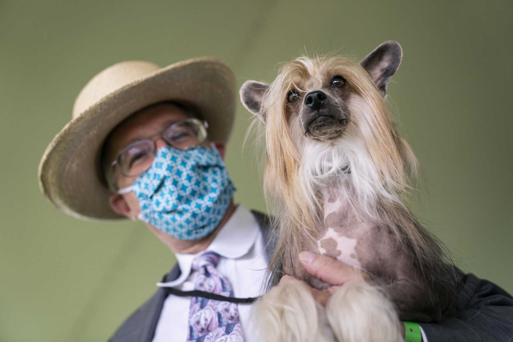 Westminster Dog Show